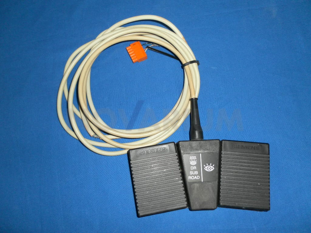 3099707.1.JPG