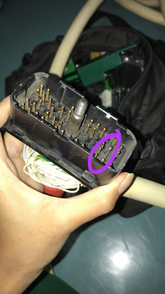 GE 828-955G615 - Monitor Cart Cable.jpeg