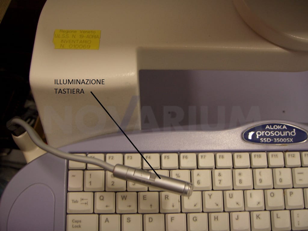 foto_aloka.jpg